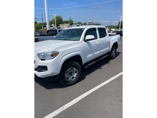 2023 Toyota Tacoma for sale in Johnson City TN