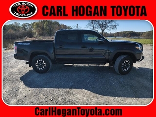 2023 Toyota Tacoma for sale in Columbus MS