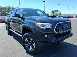 2019 Toyota Tacoma for sale in Clarksville TN