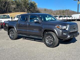 2019 Toyota Tacoma for sale in Canton NC