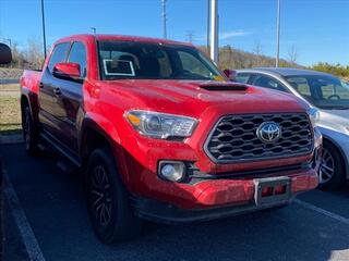 2022 Toyota Tacoma for sale in Mcdonald TN