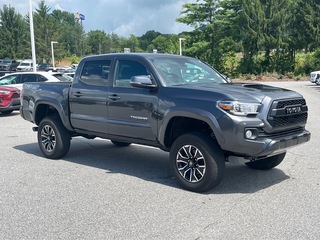 2023 Toyota Tacoma for sale in Canton NC
