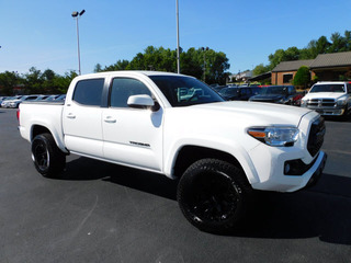 2019 Toyota Tacoma for sale in Clarksville TN