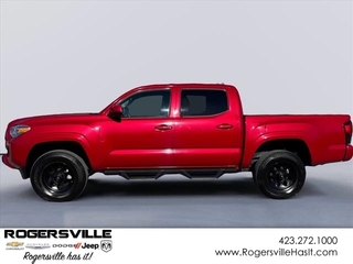 2022 Toyota Tacoma for sale in Rogersville TN