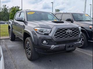 2023 Toyota Tacoma for sale in Mcdonald TN