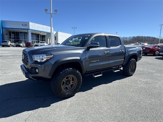 2023 Toyota Tacoma for sale in Johnson City TN