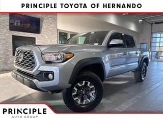 2023 Toyota Tacoma for sale in Hernando MS