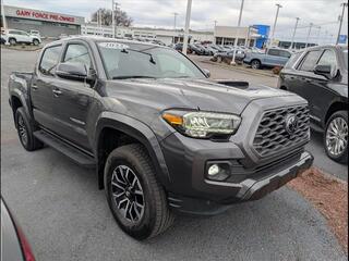 2022 Toyota Tacoma for sale in Bowling Green KY