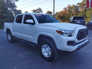 2023 Toyota Tacoma for sale in New Bern NC