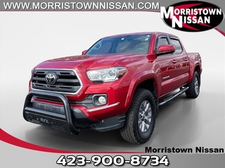 2019 Toyota Tacoma for sale in Morristown TN