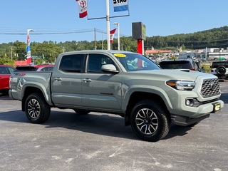 2023 Toyota Tacoma for sale in Princeton WV