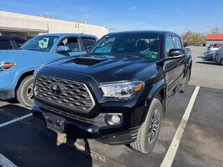 2023 Toyota Tacoma for sale in Kingsport TN