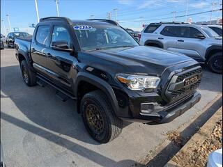 2023 Toyota Tacoma for sale in Bowling Green KY