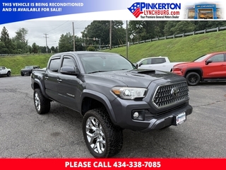 2019 Toyota Tacoma for sale in Lynchburg VA