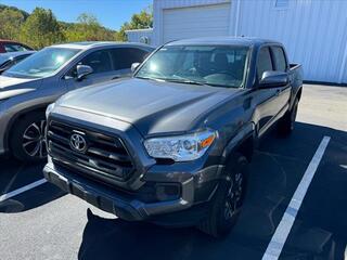 2017 Toyota Tacoma for sale in Kingsport TN