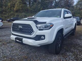 2019 Toyota Tacoma for sale in Mount Hope WV