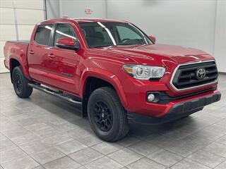 2020 Toyota Tacoma for sale in Murray KY