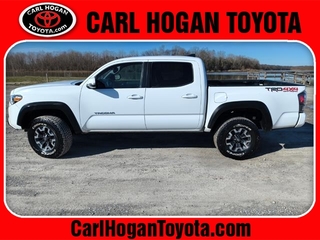 2022 Toyota Tacoma for sale in Columbus MS