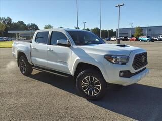 2023 Toyota Tacoma for sale in Clarksville TN