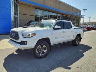 2017 Toyota Tacoma for sale in Gallatin TN