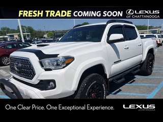 2019 Toyota Tacoma for sale in Chattanooga TN