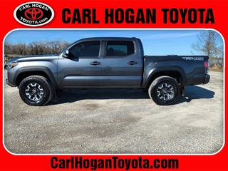 2022 Toyota Tacoma for sale in Columbus MS