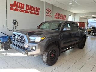 2022 Toyota Tacoma for sale in Toledo OH