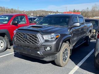 2023 Toyota Tacoma for sale in Kingsport TN