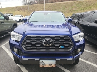 2023 Toyota Tacoma for sale in Chattanooga TN