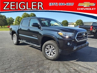 2018 Toyota Tacoma for sale in Claysburg PA