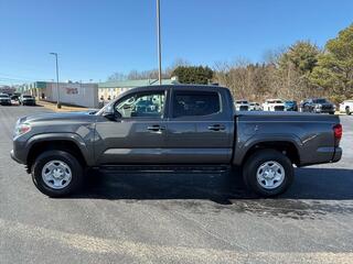 2019 Toyota Tacoma for sale in Morristown TN