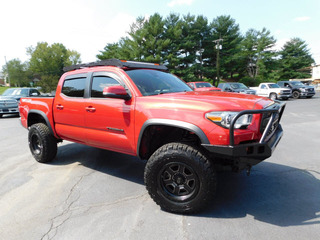 2019 Toyota Tacoma for sale in Clarksville TN