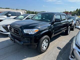 2022 Toyota Tacoma for sale in Kingsport TN