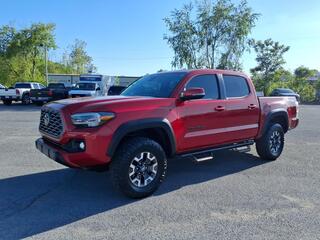 2023 Toyota Tacoma for sale in Johnson City TN