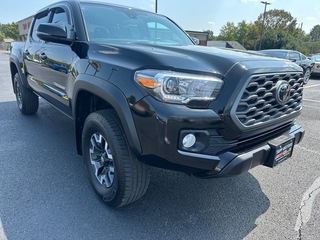 2023 Toyota Tacoma