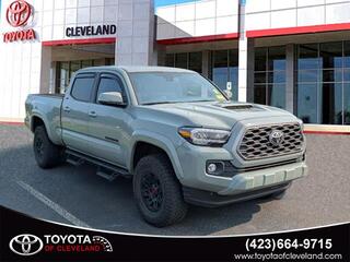 2022 Toyota Tacoma for sale in Mcdonald TN