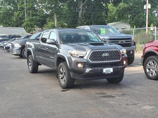 2019 Toyota Tacoma for sale in Kirkwood MO