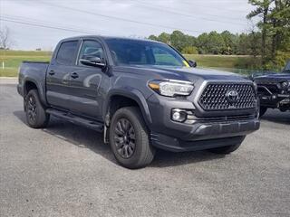 2022 Toyota Tacoma for sale in Cleveland TN