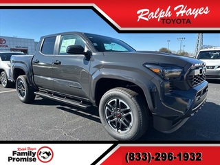 2024 Toyota Tacoma for sale in Anderson SC