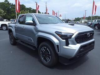 2024 Toyota Tacoma for sale in New Bern NC