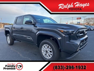 2024 Toyota Tacoma for sale in Anderson SC