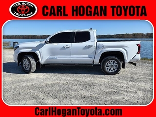 2024 Toyota Tacoma for sale in Columbus MS