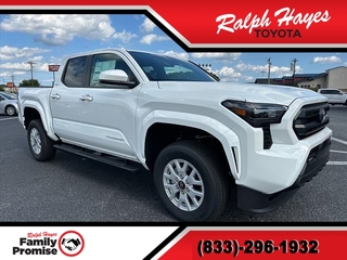 2024 Toyota Tacoma for sale in Anderson SC