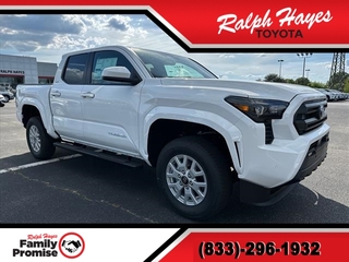 2024 Toyota Tacoma for sale in Anderson SC