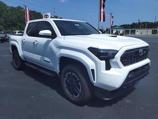 2024 Toyota Tacoma for sale in New Bern NC