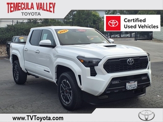 2025 Toyota Tacoma for sale in Random Lake WI