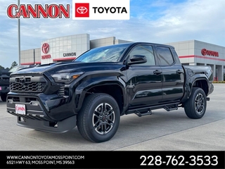 2025 Toyota Tacoma for sale in Moss Point MS