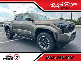 2025 Toyota Tacoma for sale in Anderson SC