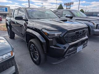 2024 Toyota Tacoma for sale in Bowling Green KY