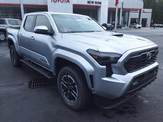 2024 Toyota Tacoma for sale in New Bern NC